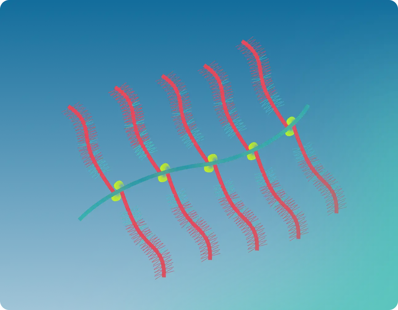 Diagram illustrating an aggrecan proteoglycan structure with labeled hyaluronic acid backbone, core protein, link protein, chondroitin sulfate, and keratan sulfate.